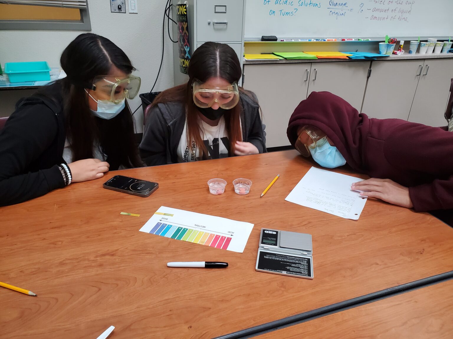 Carbon Cleanup Initiative’s Climate in the Classroom